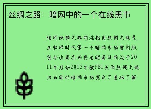 丝绸之路：暗网中的一个在线黑市